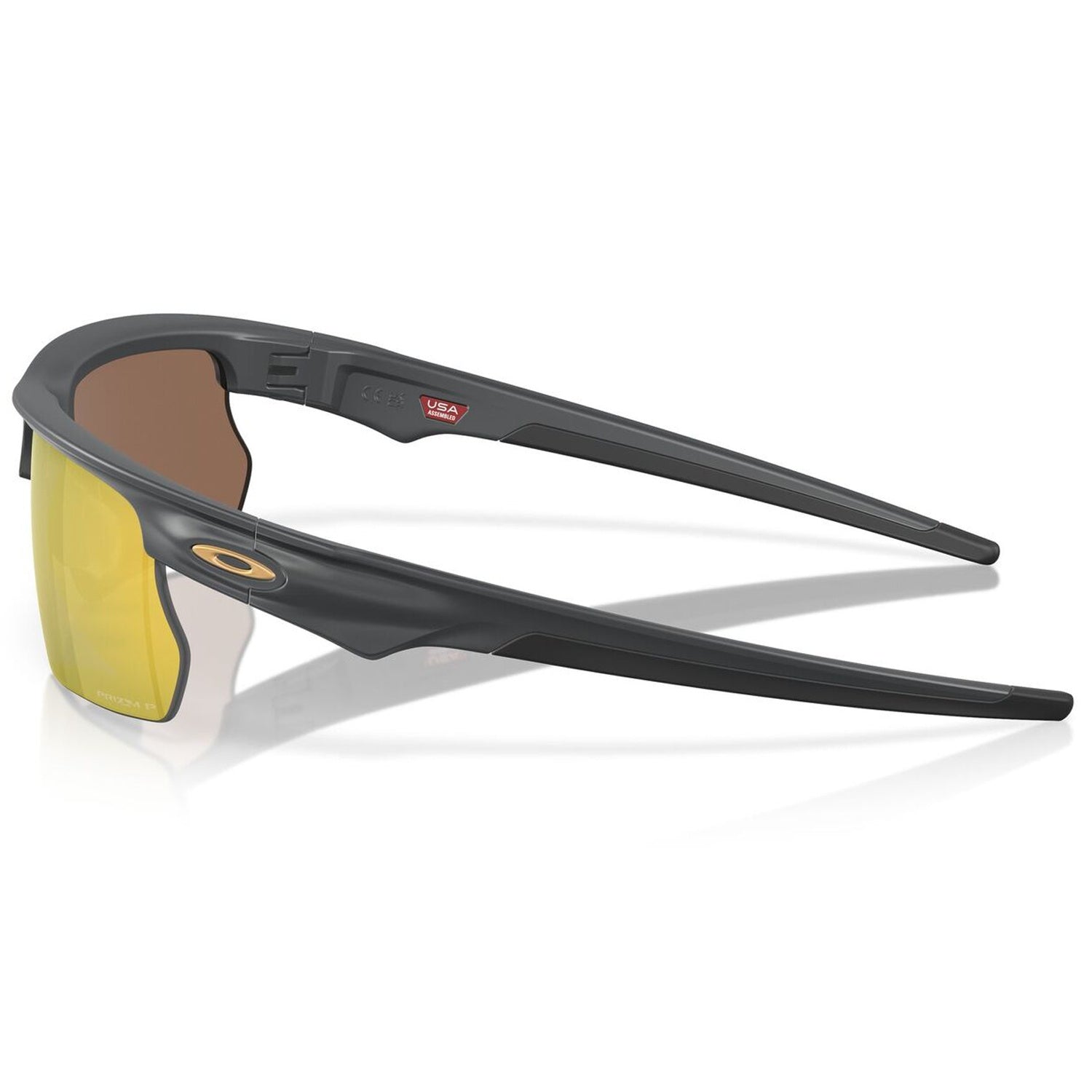 Bisphaera Matte Carbon w/ PRIZM 24k Polar Sunglasses