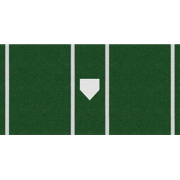 ProTurf Batting Mat for Baseball or Softball