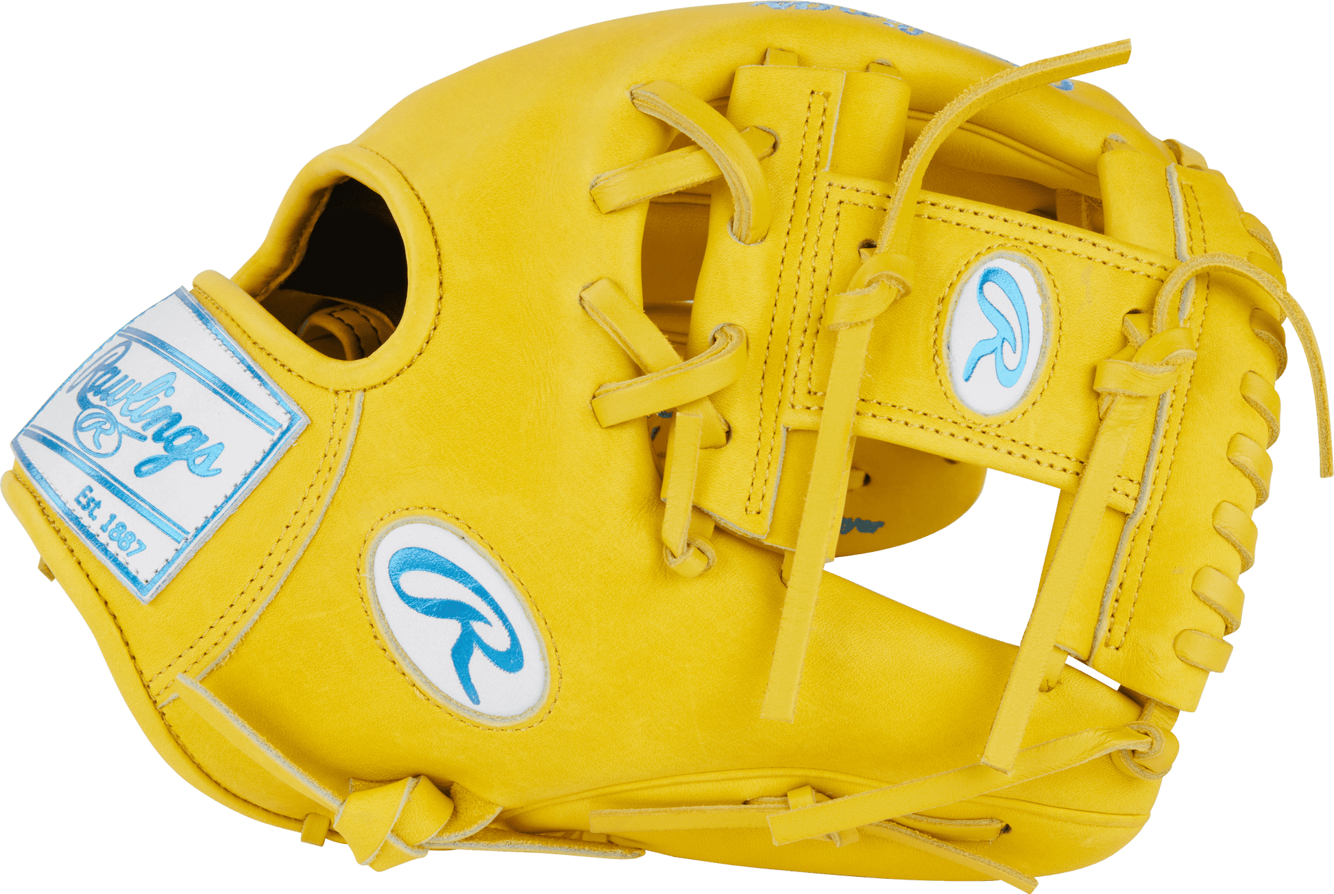Rawlings Heart of the Hide Color Sync 11.5" Baseball Fielding Glove - PROR204-2Y