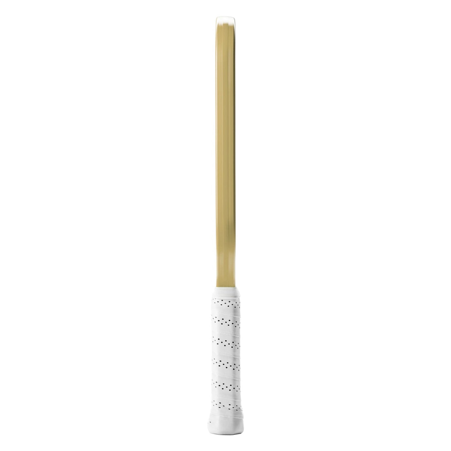 Selkirk SLK ERA Power Elongated Pickleball Paddle