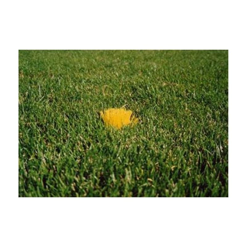 US Specialty Coatings POWERSHOT field markers