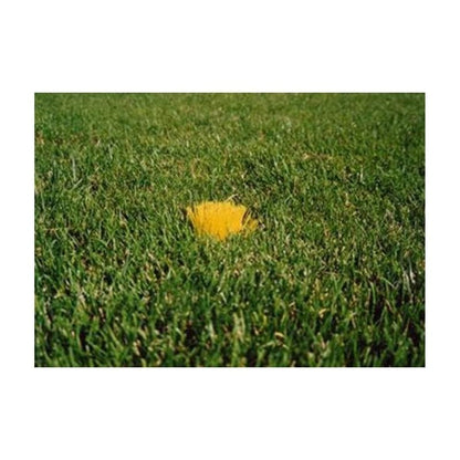 US Specialty Coatings POWERSHOT field markers