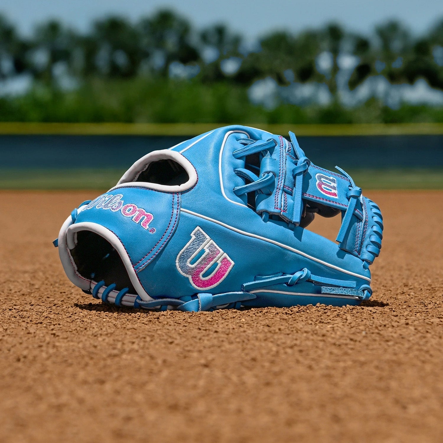 Wilson A1000 1786 11.5" Baseball Glove
