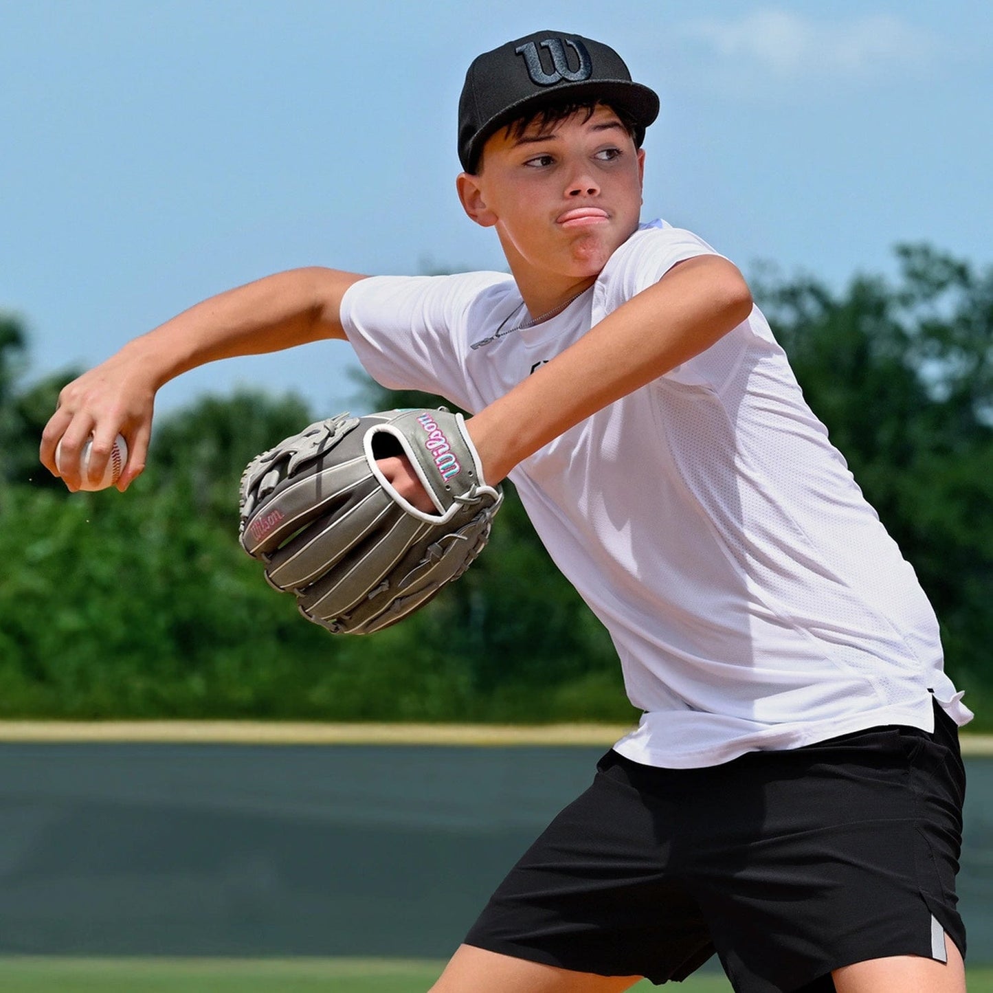 Wilson A1000 DW5 12" Baseball Glove